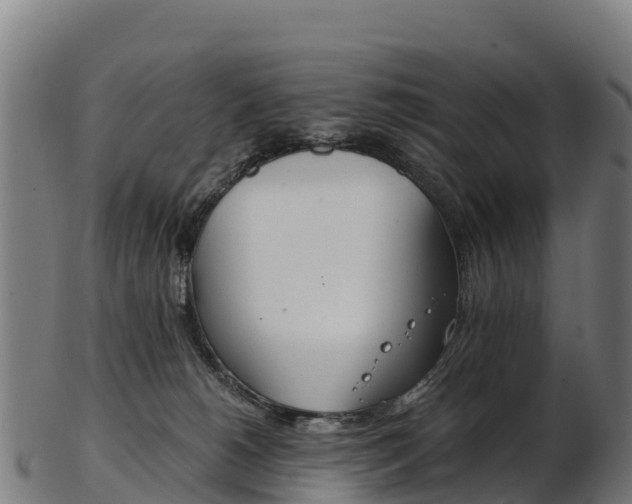 X0000103470180200809121128