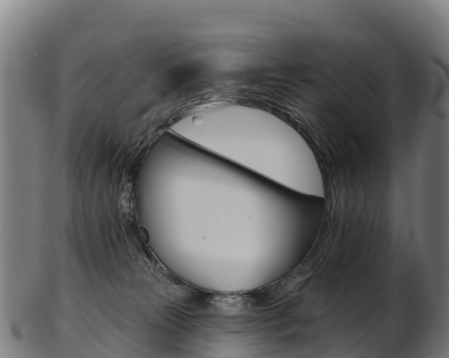 X0000103470181200809121128