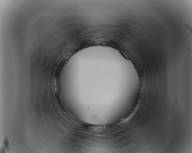 X0000103470182200809121128