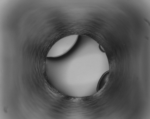 X0000103470186200809121128