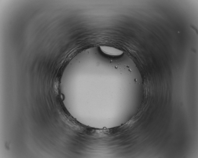 X0000103470188200809121128
