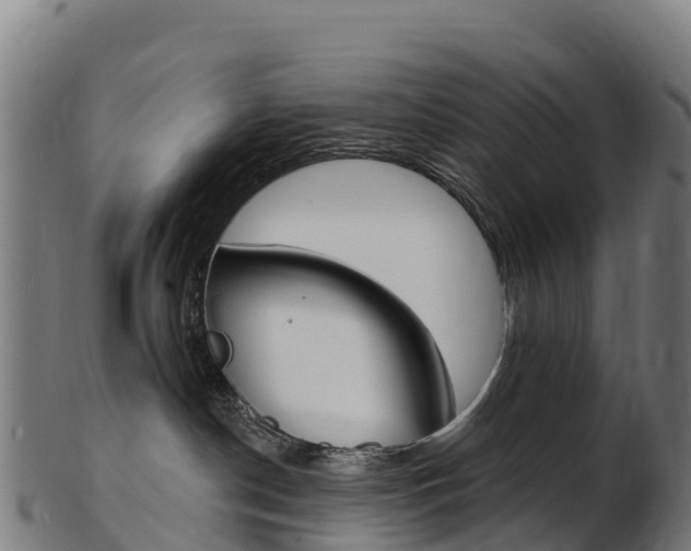 X0000103470190200809121128