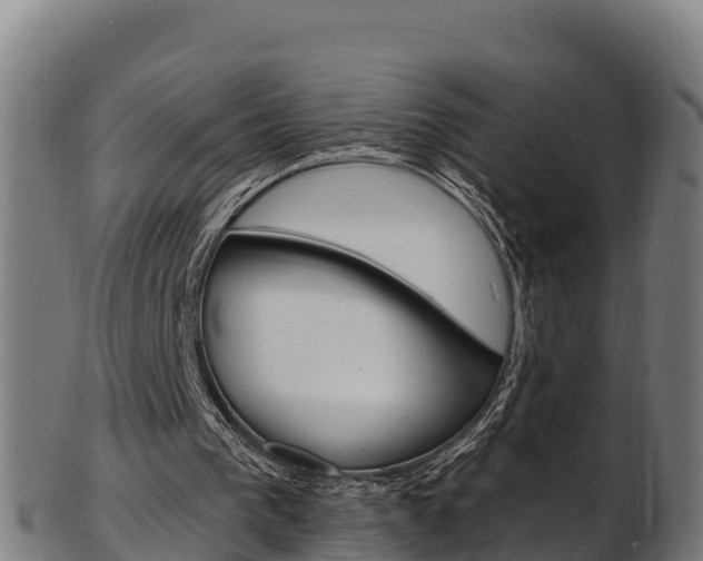 X0000103470193200809121127