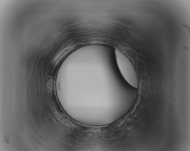 X0000103470194200809121127