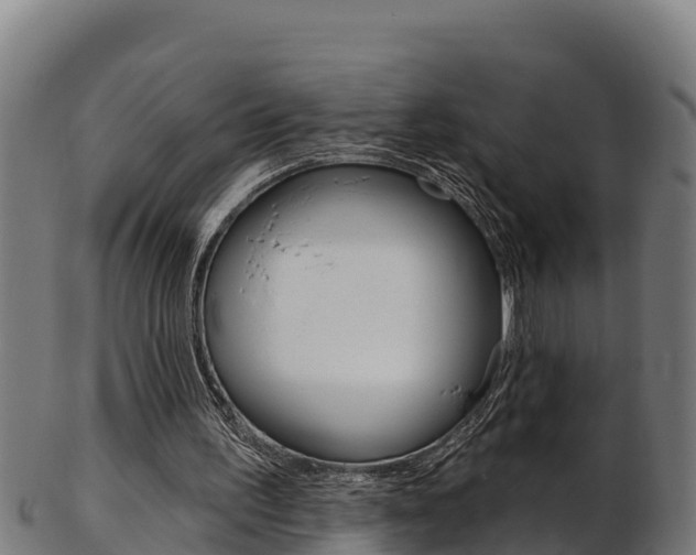 X0000103470195200809121127