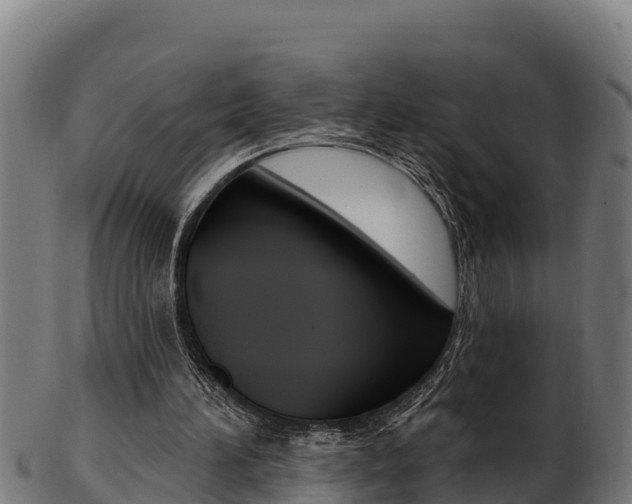 X0000103470196200809121127