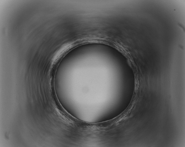 X0000103470197200809121127