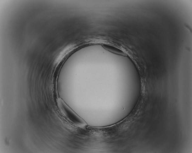 X0000103470199200809121127