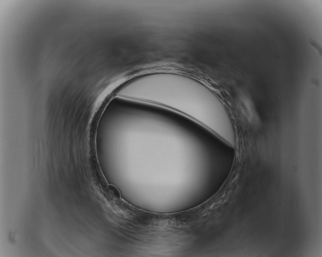X0000103470200200809121127