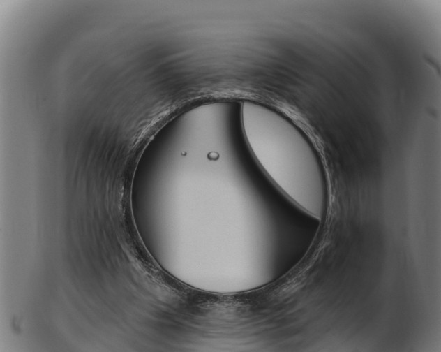 X0000103470201200809121127