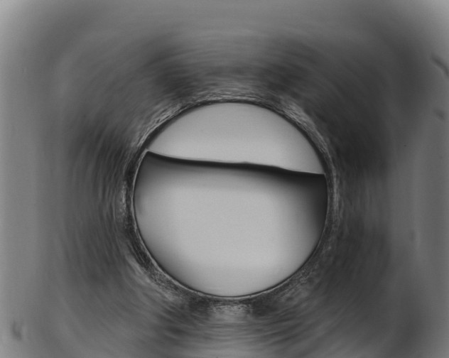 X0000103470202200809121127