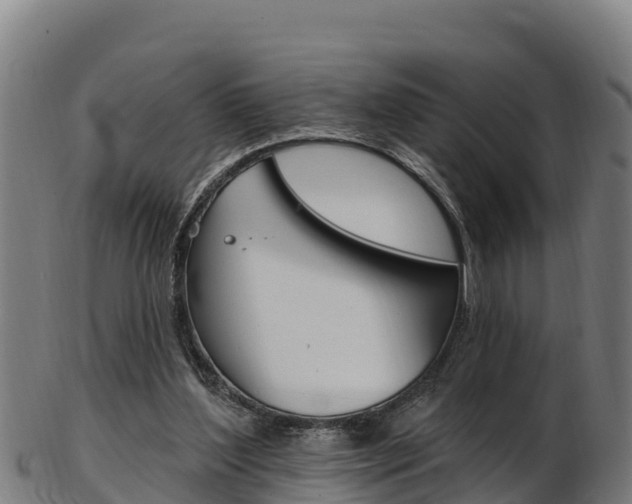 X0000103470204200809121127