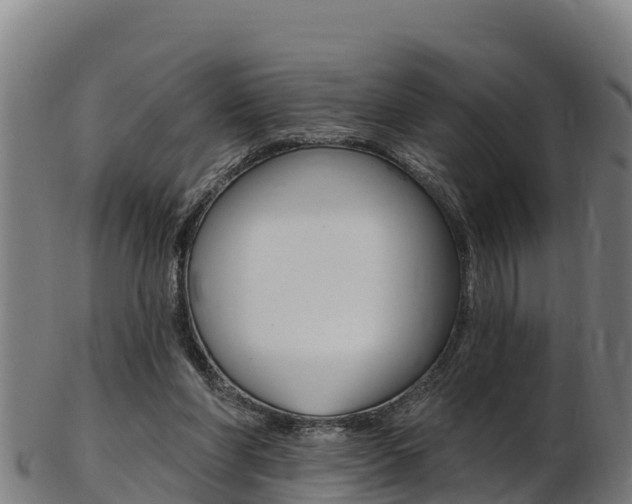 X0000103470206200809121127