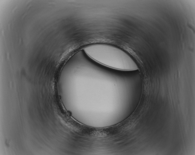 X0000103470207200809121127