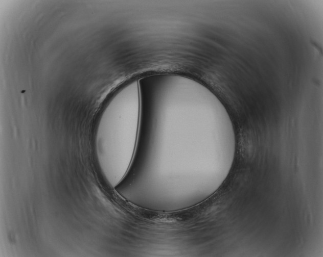 X0000103470208200809121127