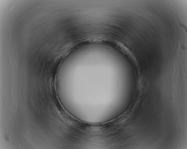 X0000103470209200809121127