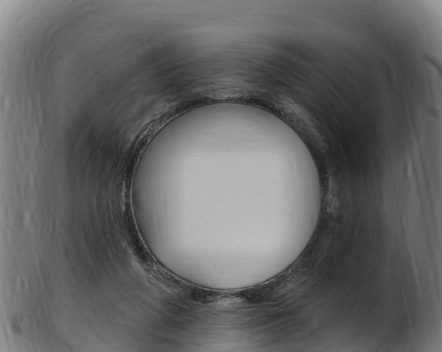 X0000103470210200809121127