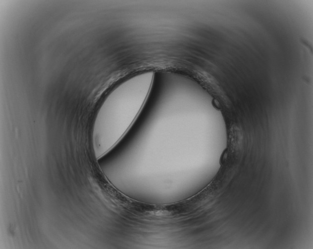 X0000103470212200809121127