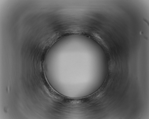 X0000103470213200809121127
