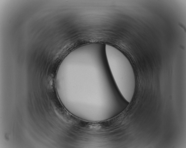 X0000103470214200809121127