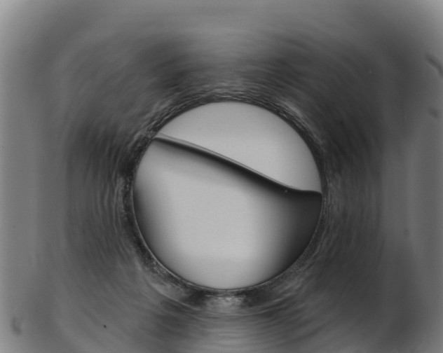 X0000103470217200809121127
