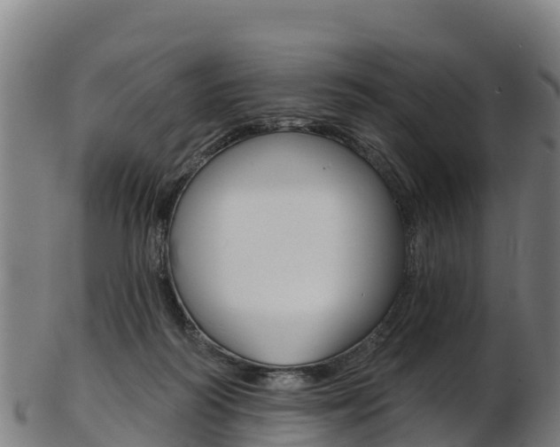 X0000103470218200809121127