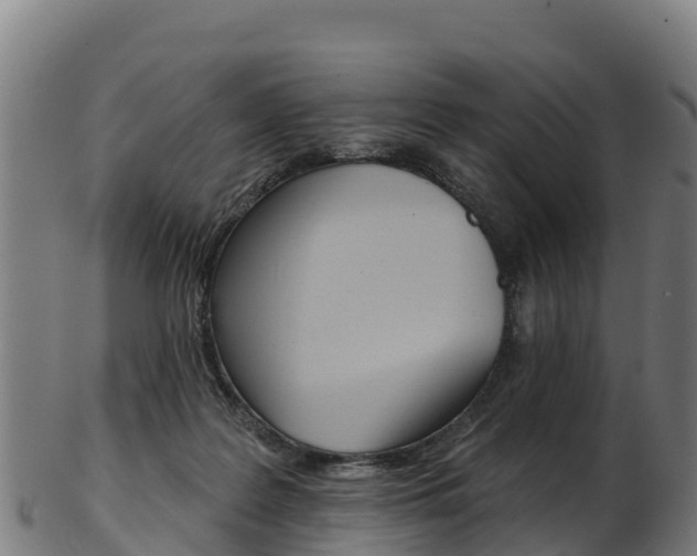 X0000103470219200809121127