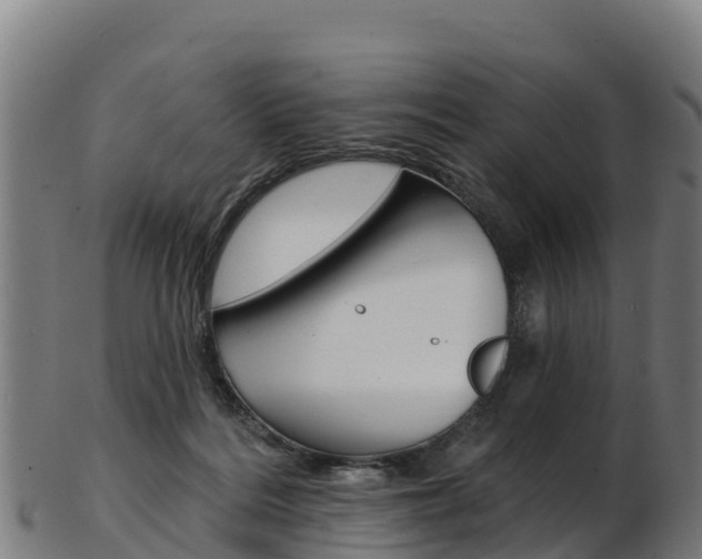 X0000103470220200809121127