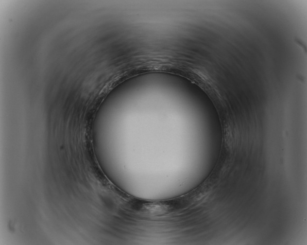 X0000103470221200809121127