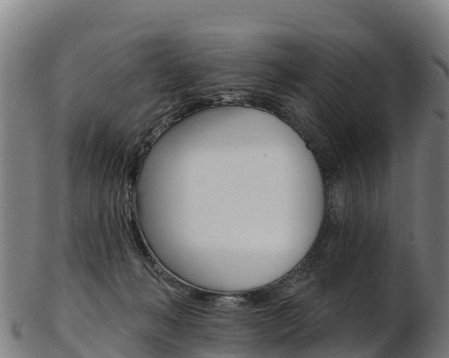 X0000103470222200809121127