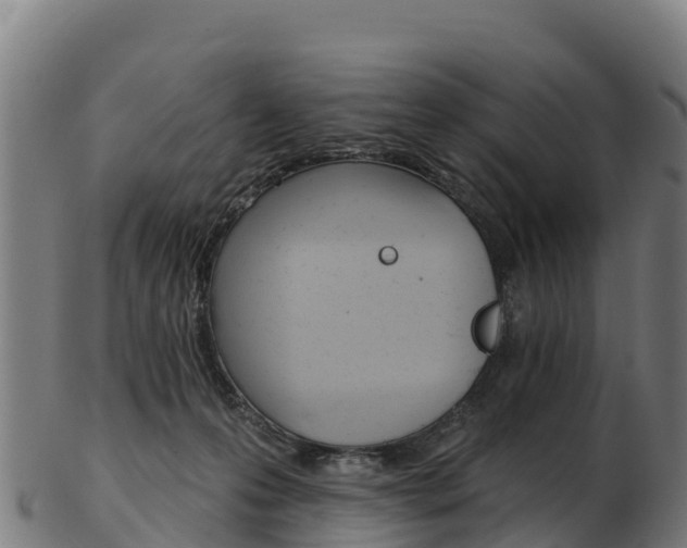 X0000103470223200809121127