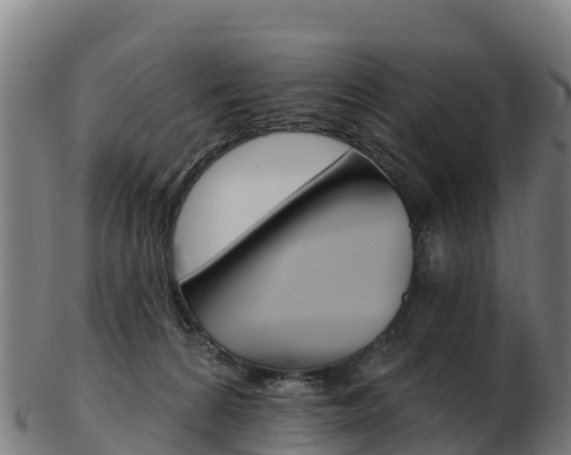 X0000103470224200809121127