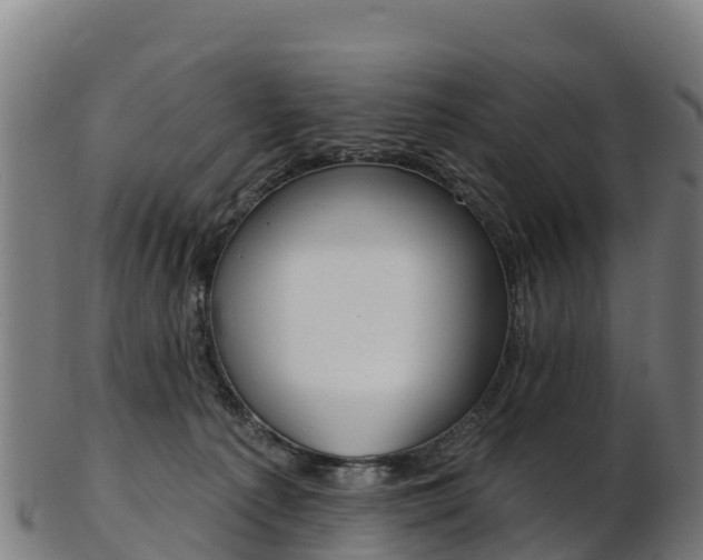 X0000103470225200809121127
