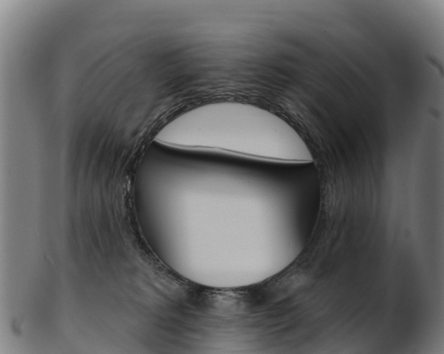 X0000103470229200809121127