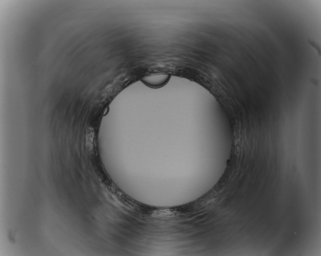 X0000103470231200809121127