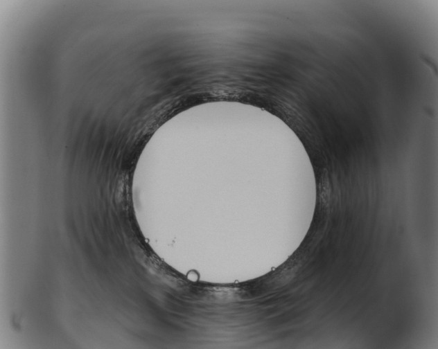 X0000103470233200809121127