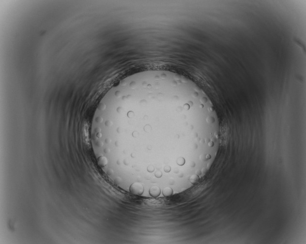 X0000103470238200809121127