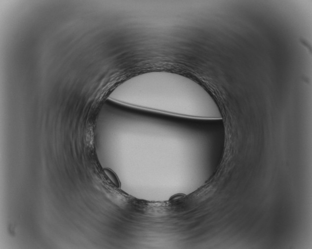 X0000103470240200809121127