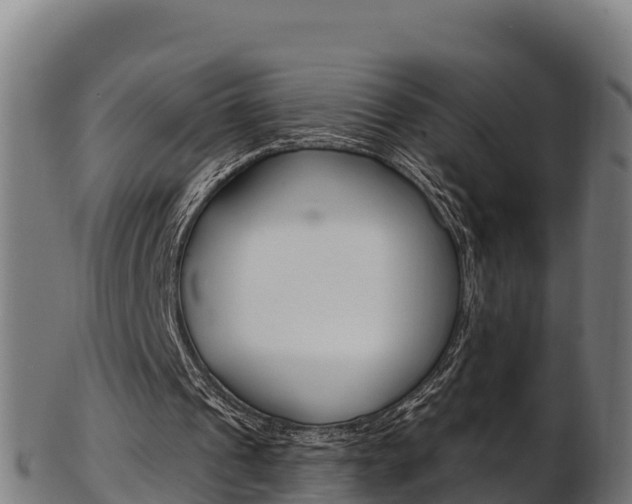 X0000103470241200809121126