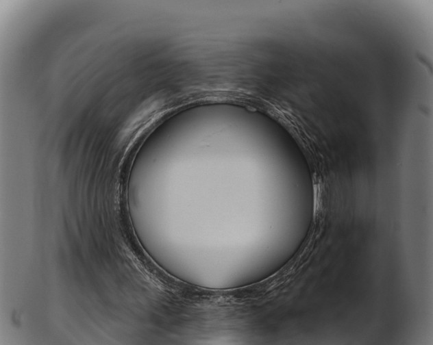 X0000103470243200809121126
