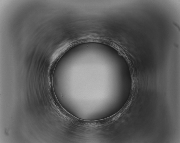 X0000103470245200809121126
