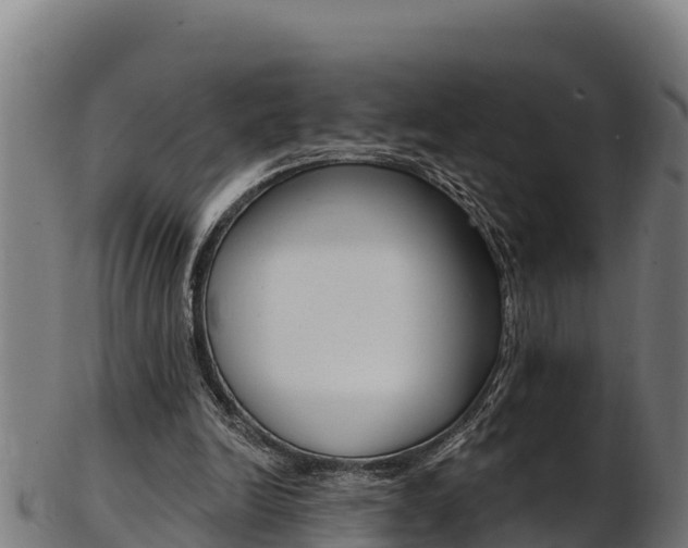 X0000103470246200809121126