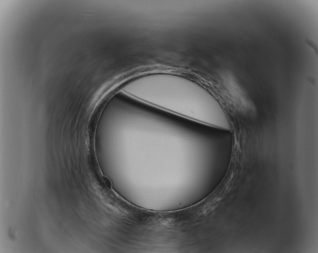 X0000103470247200809121126