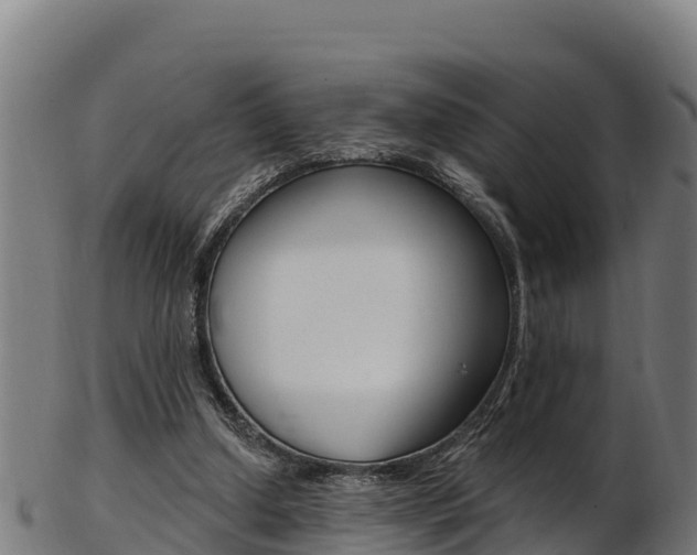 X0000103470250200809121126