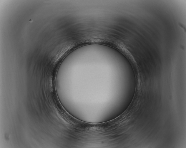 X0000103470251200809121126