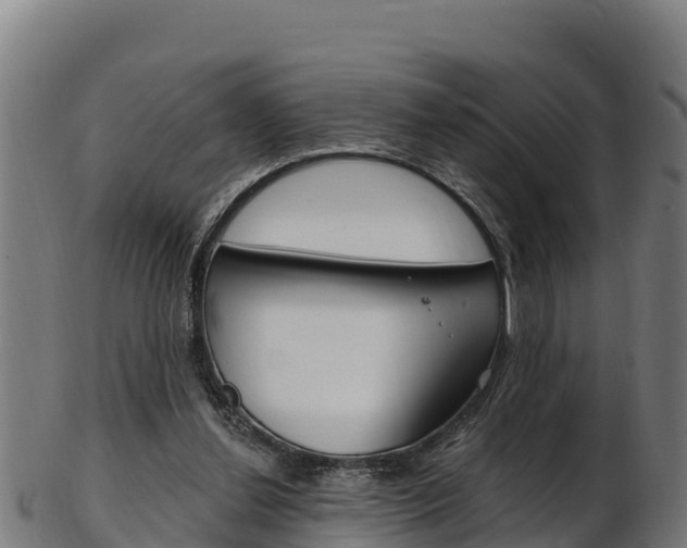 X0000103470252200809121126