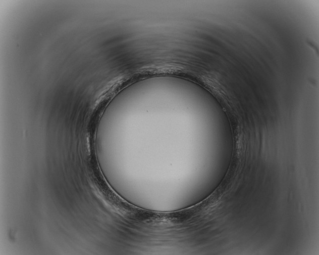 X0000103470254200809121126