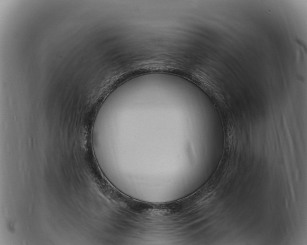X0000103470255200809121126