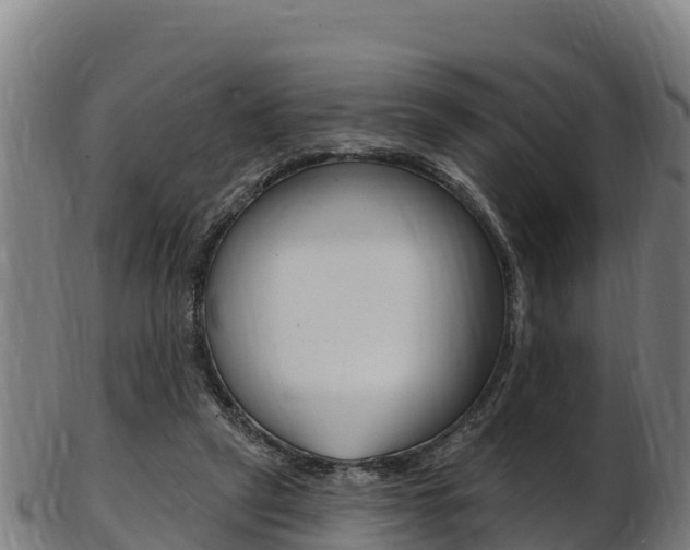 X0000103470257200809121126