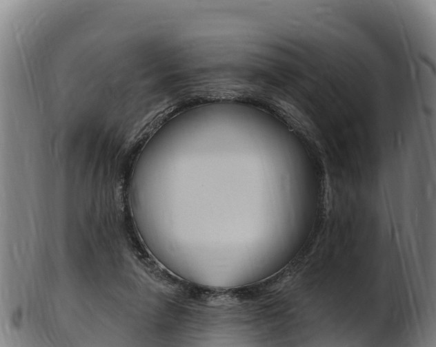 X0000103470258200809121126